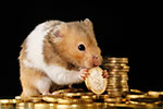 Hamster mit Euromünze