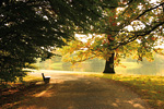 Herbst